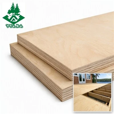 18mm Wbp Birch Contrachapado Contrapado Impermeable